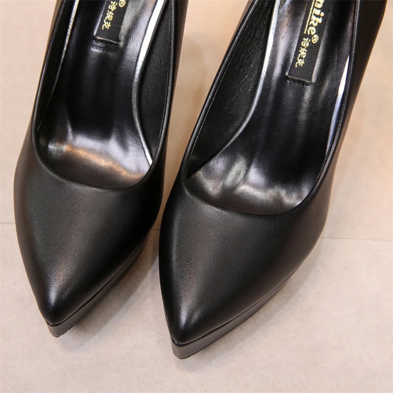 Scarpin Feminino, Scarpin Confortável, Scarpin Leve Conforto, Scarpin Moda Confortável, Scarpin Salto Fino, Scarpin Salto Alto